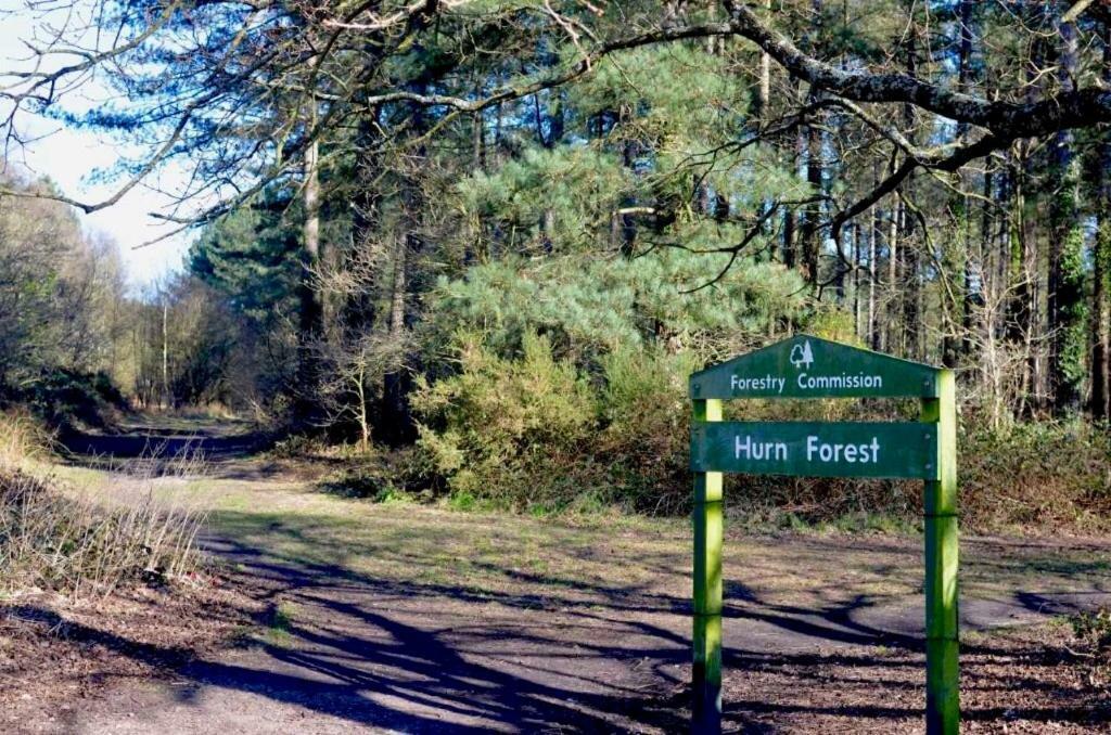 Forest View At Oakdene Forest Park - Leisure Passes Included! Рингвуд Екстер'єр фото